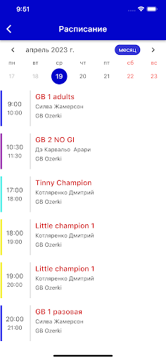 Gracie Barra Spb Screen 2