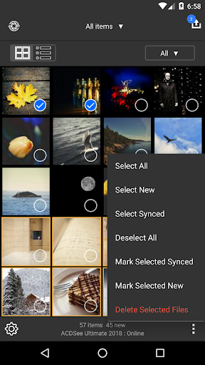 Screenshot of ACDSee Mobile Sync