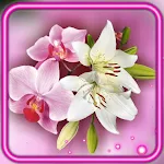 Cover Image of डाउनलोड Orchids and Lilies 1.2 APK