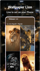 Wallpaper Lion