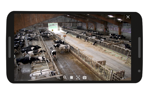 Anicam Screen 2
