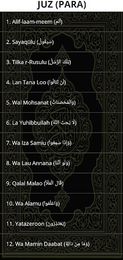 Hifz/Hafizi Quran-15 Lines Screen 3