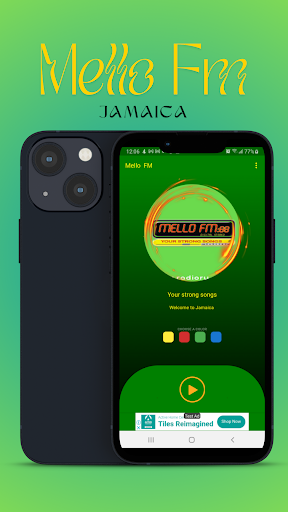 Vista previa de la aplicación