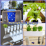 DIY Hydroponic Plantation Ideas icon