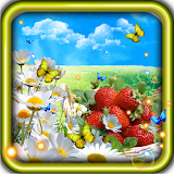 Camomiles n Strawberry LWP icon