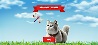 Game screenshot Games for Cats - Cat Toy apk download