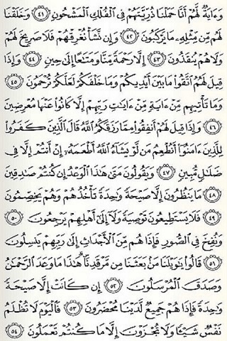 Surat Yasin ~ Sederhana Screen 2