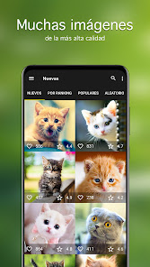 Captura de Pantalla 2 Fondos de pantalla con gatos android