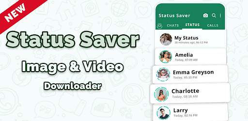 Save Status - Video Download