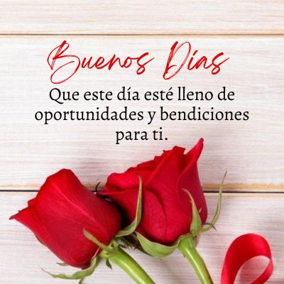 Android application Biblia Dios Habla Hoy screenshort