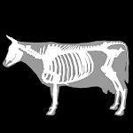 Cover Image of Unduh 3D Bovine Anatomy  APK