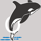 Orca Market icon