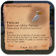 Exotic Birds Mods Download on Windows