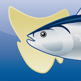 Tasmanian Sea Fishing Guide icon