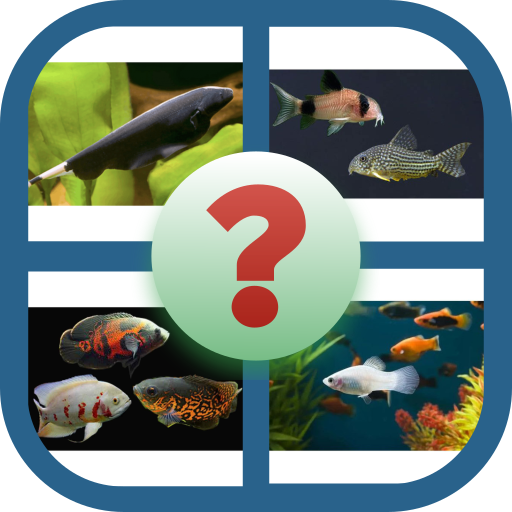 Tebak Gambar Ikan logo