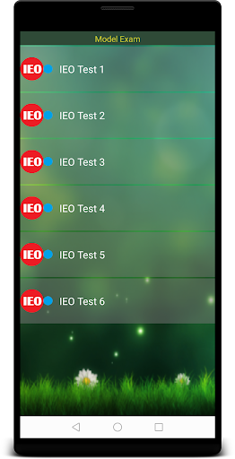 IEO 4 English Olympiad Screen 2