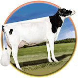 Cow Evolution 3D 2016 icon