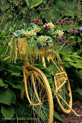 Android application Giant Bicycle Wallpapers screenshort