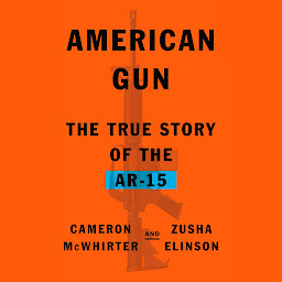 Icon image American Gun: The True Story of the AR-15