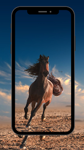 Horse Wallpaper Background HD