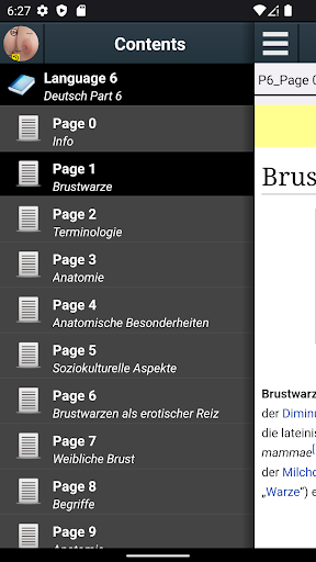 App-Vorschau