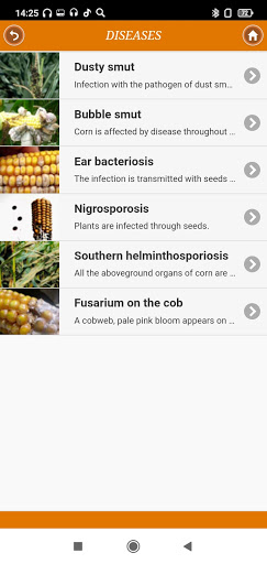 Corn: from "A" to "Z" Screen 3