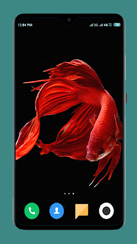 Download Betta Fish Wallpapers 4K APK latest version App by Android  Wallpaper Store for android devices
