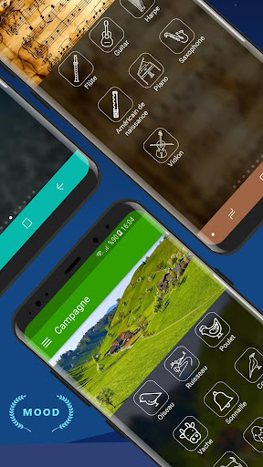 Aperçu de l'application