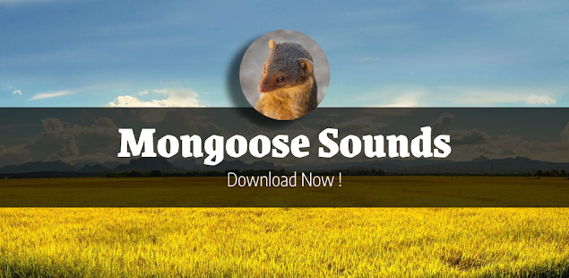 Mongoose Sounds App HD 2.0 APK screenshots 1
