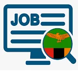 Job Search Zambia icon