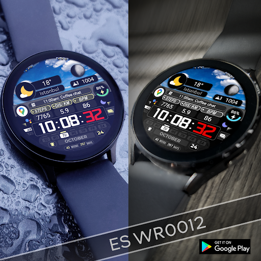 ES WR0012 screenshot 16