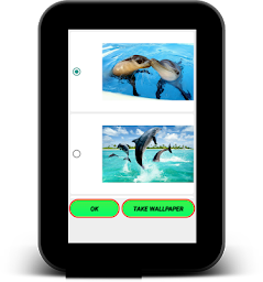 Dolphin Live Wallpaper - Screen Lock, Sensor, Auto
