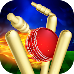 Cover Image of Download RunOut Master - Cricket World  APK