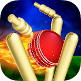 RunOut Master - Cricket World Cup 2019 icon