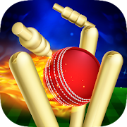 RunOut Master - Cricket World icon