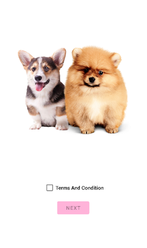 AmPawn: Pet Adoption Screen 2