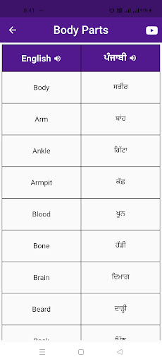 Learn English Through Punjabi Screen 3