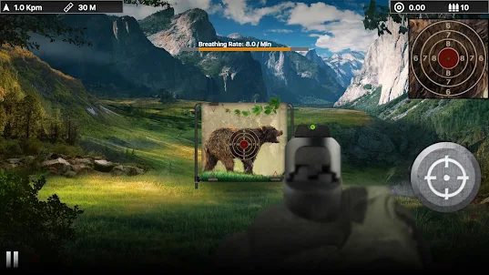 Bear Target Shooting
