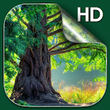 Forest Live Wallpaper HD icon