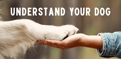 Dog Trasnlator body language