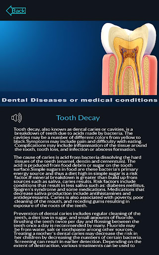 Dental Anatomy Pro. Screen 3