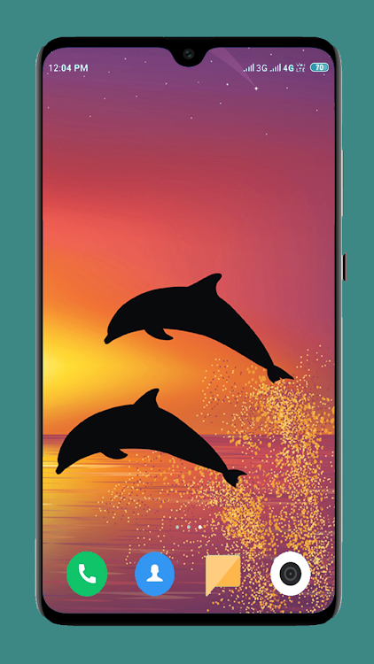Dolphin Wallpaper HD - 1.11 - (Android)
