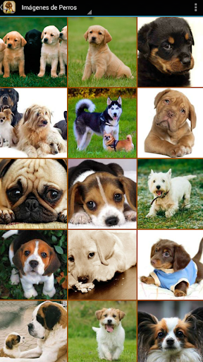 Imagenes de Perros Screen 2