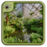 Indoor Botanical Garden Design icon