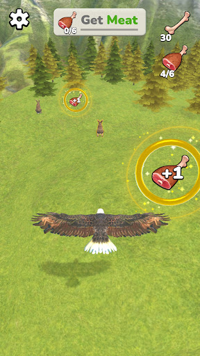Android application Eagle Simulator screenshort