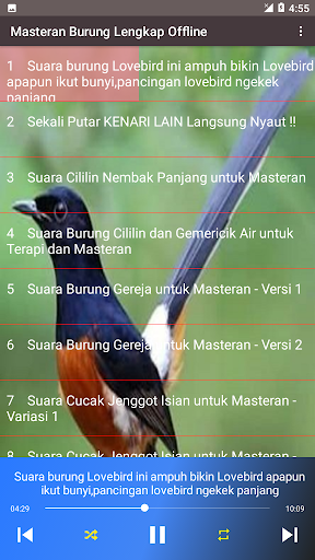 Kicau Burung Isian Offline Screen 2