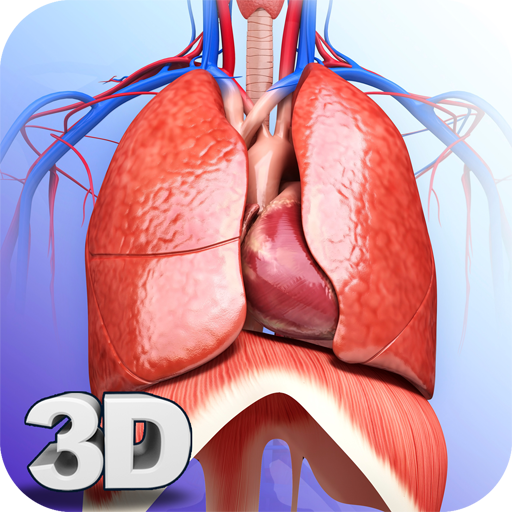 Respiratory System Anatomy Pro  Icon