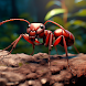 Ant Colony Simulator