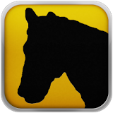 Horses 101 Training Exercises icon