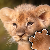 Kids animal jigsaw puzzles icon
